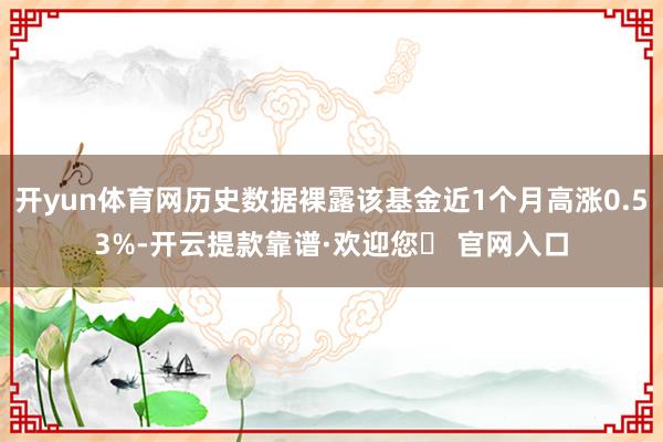 开yun体育网历史数据裸露该基金近1个月高涨0.53%-开云提款靠谱·欢迎您✅ 官网入口